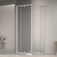 Душевой уголок RGW PA-38 800x800 мм 06083888-11 хром Easy Clean Душевой уголок RGW PA-38 800x800 мм 06083888-11 хром Easy Clean