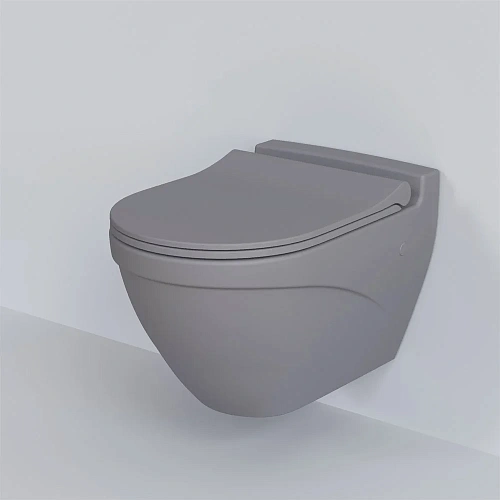 Крышка-сиденье Ambassador Nord 132T20301S (тонкое) серое матовое Крышка-сиденье Ambassador Nord 132T20301S (тонкое) серое матовое