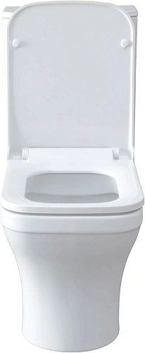 Чаша напольного унитаза Allen Brau Infinity 4.21012.20 с крышкой, белый глянец Чаша напольного унитаза Allen Brau Infinity 4.21012.20 с крышкой, белый глянец