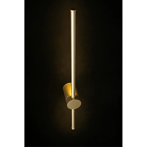 Светильник настенный (Бра) Aployt Gabi APL.0123.11.07 Светильник настенный (Бра) Aployt Gabi APL.0123.11.07