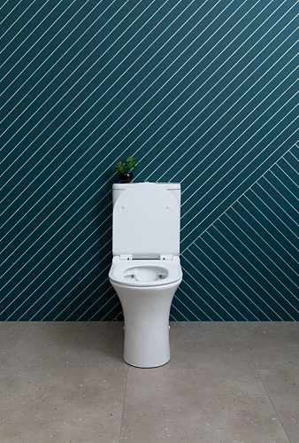 Чаша напольного унитаза Aquanet Rimless Roll 2-C CL-12289 с сиденьем Чаша напольного унитаза Aquanet Rimless Roll 2-C CL-12289 с сиденьем