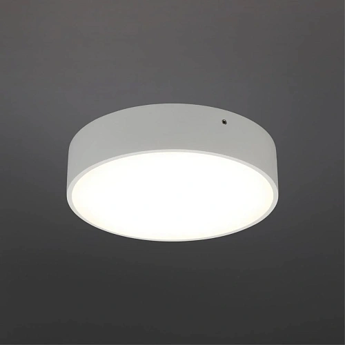 Светильник настенно-потолочный Aployt Evon APL.0114.09.18 Светильник настенно-потолочный Aployt Evon APL.0114.09.18