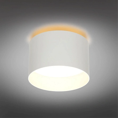 Светильник настенно-потолочный Omnilux Stezzano OML-100419-16 Светильник настенно-потолочный Omnilux Stezzano OML-100419-16