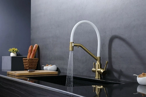 Смеситель для кухни Raglo R81.62.03 с гибким изливом с подключением к фильтру, золотой сатин Смеситель для кухни Raglo R81.62.03 с гибким изливом с подключением к фильтру, золотой сатин