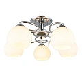 Люстра потолочная Omnilux Casoria OML-25107-05 Люстра потолочная Omnilux Casoria OML-25107-05