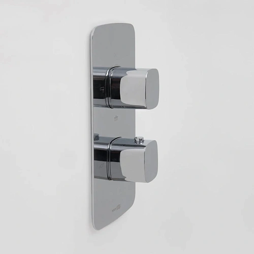 Смеситель для душа WasserKRAFT Naab 8644 Thermo термостатический хром Смеситель для душа WasserKRAFT Naab 8644 Thermo термостатический хром