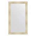 Зеркало в багетной раме Evoform Definite BY 3316 82 x 142 см, травленое серебро Зеркало в багетной раме Evoform Definite BY 3316 82 x 142 см, травленое серебро