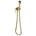 Гигиенический душ Sancos Etna SC9033BG с внутренней частью, брашированное золото, PVD покрытие Гигиенический душ Sancos Etna SC9033BG с внутренней частью, брашированное золото, PVD покрытие