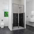 Душевая дверь RGW CL-21 Classic 04092175-51 Душевая дверь RGW CL-21 Classic 04092175-51