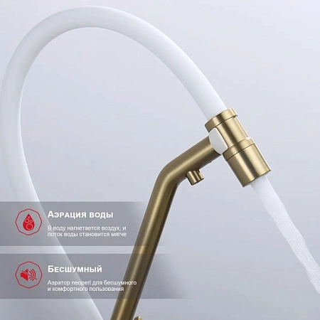 Смеситель для кухни Raglo R80.62.03 с гибким изливом с подключением к фильтру, золотой сатин Смеситель для кухни Raglo R80.62.03 с гибким изливом с подключением к фильтру, золотой сатин