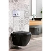 Унитаз SMART Creavit Terra TP325-00SI00E-0000 с биде, черный Унитаз SMART Creavit Terra TP325-00SI00E-0000 с биде, черный