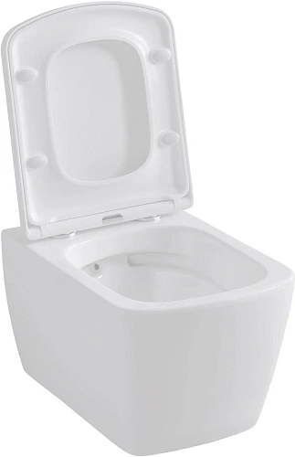 Комплект унитаза Allen Brau Liberty 4.33004.20/8.9466.0.000.000.1 (00316507) с инсталляцией, белый глянец Комплект унитаза Allen Brau Liberty 4.33004.20/8.9466.0.000.000.1 (00316507) с инсталляцией, белый глянец