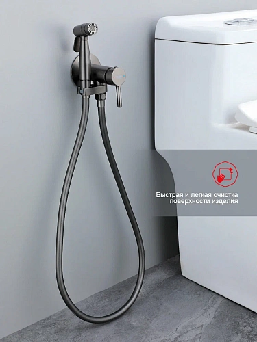 Гигиенический душ Raglo R20.54.09 встраиваемый, графит Гигиенический душ Raglo R20.54.09 встраиваемый, графит