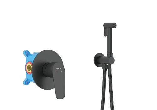 Гигиенический душ Aquatek БЕТТА AQ1119MB Черный матовый, встраиваемый Гигиенический душ Aquatek БЕТТА AQ1119MB Черный матовый, встраиваемый