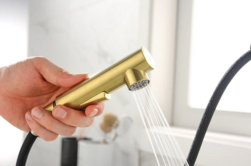 Смеситель для кухни Paulmark NEO светлое золото Ne214419-LG Смеситель для кухни Paulmark NEO светлое золото Ne214419-LG