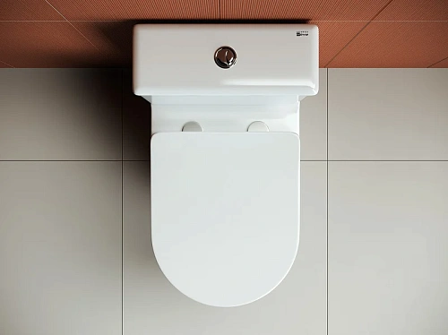 Чаша напольного унитаза Ceramica Nova HIGHLIGHT Rimless CN1802-B белый с сиденьем Чаша напольного унитаза Ceramica Nova HIGHLIGHT Rimless CN1802-B белый с сиденьем