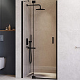 Картинка анонса товара «душевая дверь rgw hotel ho-014b 1300 мм easy clean черный 350601413-14»