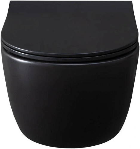 Унитаз подвесной Allen Brau Priority 4.31001.31 с крышкой, черный матовый Унитаз подвесной Allen Brau Priority 4.31001.31 с крышкой, черный матовый