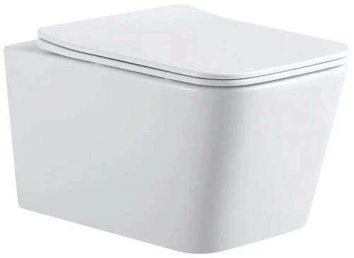 Крышка-сиденье Sintesi SIN-TS-BLT-171 SIN-CT-171 дюропласт, микролифт Крышка-сиденье Sintesi SIN-TS-BLT-171 SIN-CT-171 дюропласт, микролифт