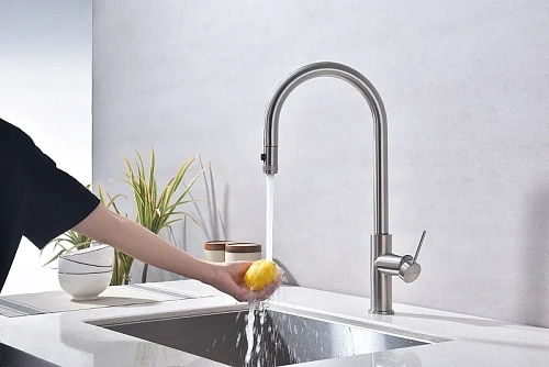 Смеситель для кухни Paulmark Galant брашированная сталь Ga213077-BS Смеситель для кухни Paulmark Galant брашированная сталь Ga213077-BS