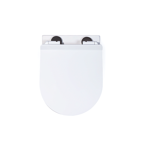 Унитаз подвесной CHARUS BERTA RIMLESS EWC700-120W безободковый c легкосъемным сиденьем микролифт Унитаз подвесной CHARUS BERTA RIMLESS EWC700-120W безободковый c легкосъемным сиденьем микролифт