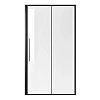Душевая дверь Niagara Nova NG-84-12AB (120x195) черный матовый, стекло прозрачное Душевая дверь Niagara Nova NG-84-12AB (120x195) черный матовый, стекло прозрачное