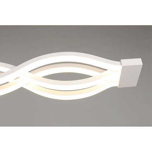 Светильник настенно-потолочный Aployt Nadayn APL.002.07.72 Светильник настенно-потолочный Aployt Nadayn APL.002.07.72