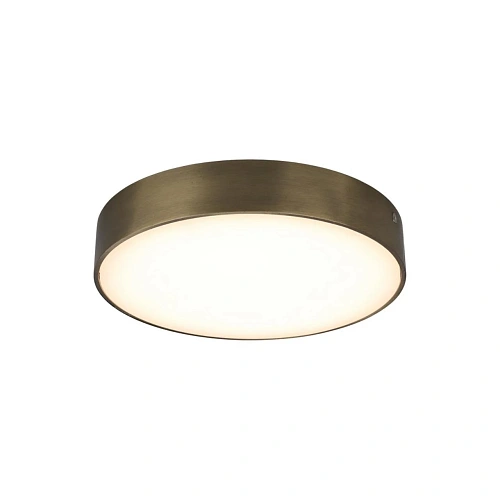 Светильник настенно-потолочный Aployt Evon APL.0113.29.24 Светильник настенно-потолочный Aployt Evon APL.0113.29.24