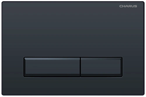Клавиша смыва CHARUS RAIDEN FP.321.DW.01 черный матовый Клавиша смыва CHARUS RAIDEN FP.321.DW.01 черный матовый