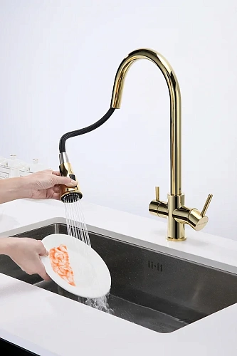 Смеситель для кухни Paulmark Lange золото La214212-G Смеситель для кухни Paulmark Lange золото La214212-G