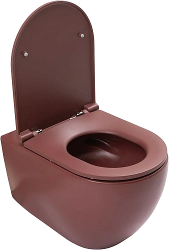 Унитаз подвесной Allen Brau Reality 4.32015.BD сиденье с микролифт бордо Унитаз подвесной Allen Brau Reality 4.32015.BD сиденье с микролифт бордо