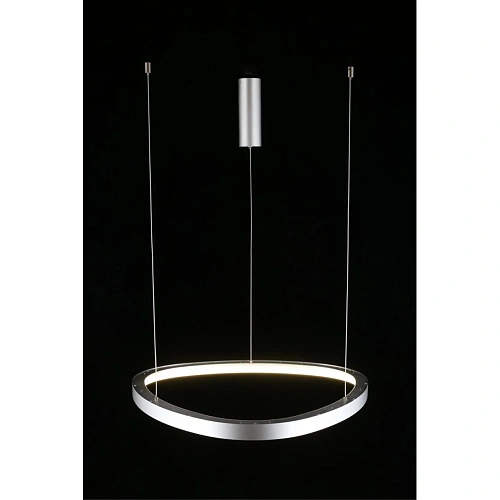 Люстра подвесная Aployt Zula APL.022.13.48 Люстра подвесная Aployt Zula APL.022.13.48