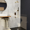 Картинка анонса товара «душевая система rgw shower panels sp-56g 51140856-06 встраиваемая»