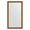 Зеркало в багетной раме Evoform Definite Floor BY 6033 114 x 204 см, травленая бронза Зеркало в багетной раме Evoform Definite Floor BY 6033 114 x 204 см, травленая бронза