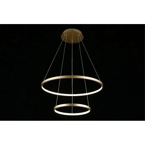 Люстра подвесная Aployt Lunet APL.014.03.60 Люстра подвесная Aployt Lunet APL.014.03.60