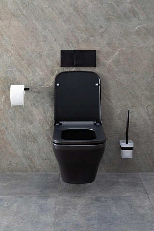 Унитаз подвесной Allen Brau Infinity 4.21011.31 с крышкой, черный матовый