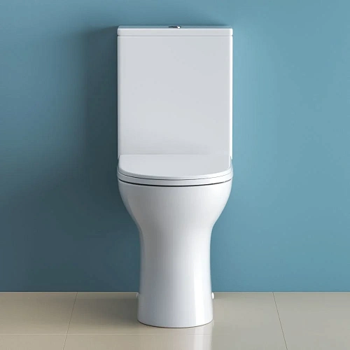 Унитаз напольный BelBagno LOUNGE BB045CPR/SC/BB045/051T безободковый с сиденьем Унитаз напольный BelBagno LOUNGE BB045CPR/SC/BB045/051T безободковый с сиденьем