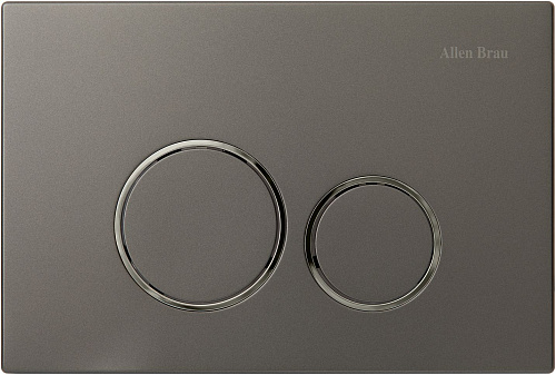 Клавиша смыва Allen Brau Priority 9.20001.GR графит/хром Клавиша смыва Allen Brau Priority 9.20001.GR графит/хром