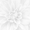 Панно Laparet Crisantemo 60x60 36-05-00-463-0 х9999132727