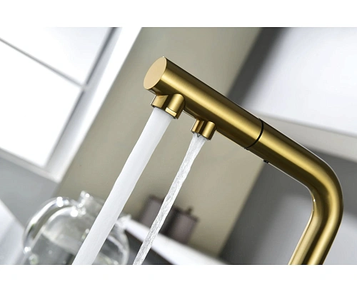 Смеситель для кухни Paulmark SERPENTINE брашированное золото Se213222-BG Смеситель для кухни Paulmark SERPENTINE брашированное золото Se213222-BG