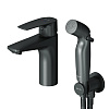 Картинка анонса товара «смеситель для раковины am.pm gem f90a03022 с гигиеническим душем, хром»