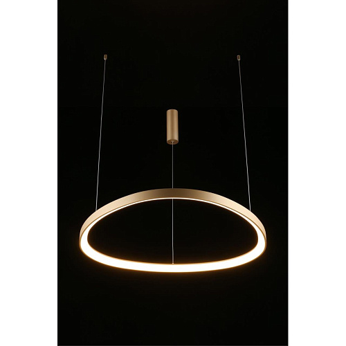 Люстра подвесная Aployt Zula APL.022.03.60 Люстра подвесная Aployt Zula APL.022.03.60