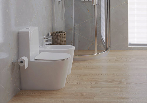 Унитаз напольный Aquatek ВЕГА AQ2904-00 630x390x825 безободковый с бачком с сиденьем тонкое Унитаз напольный Aquatek ВЕГА AQ2904-00 630x390x825 безободковый с бачком с сиденьем тонкое