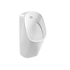 Картинка анонса товара «писсуар aquatek 300x335x690 aq3060-s-00 белый, в комплекте с сенсорным смывным механизмом»