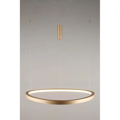 Люстра подвесная Aployt Zula APL.022.03.60 Люстра подвесная Aployt Zula APL.022.03.60