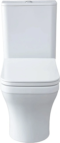 Чаша напольного унитаза Allen Brau Infinity 4.21012.20 с крышкой, белый глянец Чаша напольного унитаза Allen Brau Infinity 4.21012.20 с крышкой, белый глянец