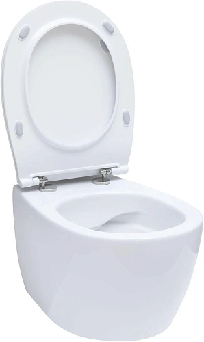 Комплект унитаза Allen Brau Fantasy 4.11004.20/8.9466.0.000.000.1 (00316504) с инсталляцией, белый глянец Комплект унитаза Allen Brau Fantasy 4.11004.20/8.9466.0.000.000.1 (00316504) с инсталляцией, белый глянец