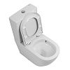 Унитаз напольный BelBagno SFERA-TOR BB2141CP-TOR/BB2141T/BB865SC безободковый с сиденьем Унитаз напольный BelBagno SFERA-TOR BB2141CP-TOR/BB2141T/BB865SC безободковый с сиденьем