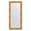 Зеркало в багетной раме Evoform Exclusive BY 3594 76 x 166 см, римское золото Зеркало в багетной раме Evoform Exclusive BY 3594 76 x 166 см, римское золото