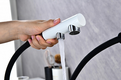 Смеситель для кухни Paulmark SERPENTINE белый матовый Se213222-WH Смеситель для кухни Paulmark SERPENTINE белый матовый Se213222-WH